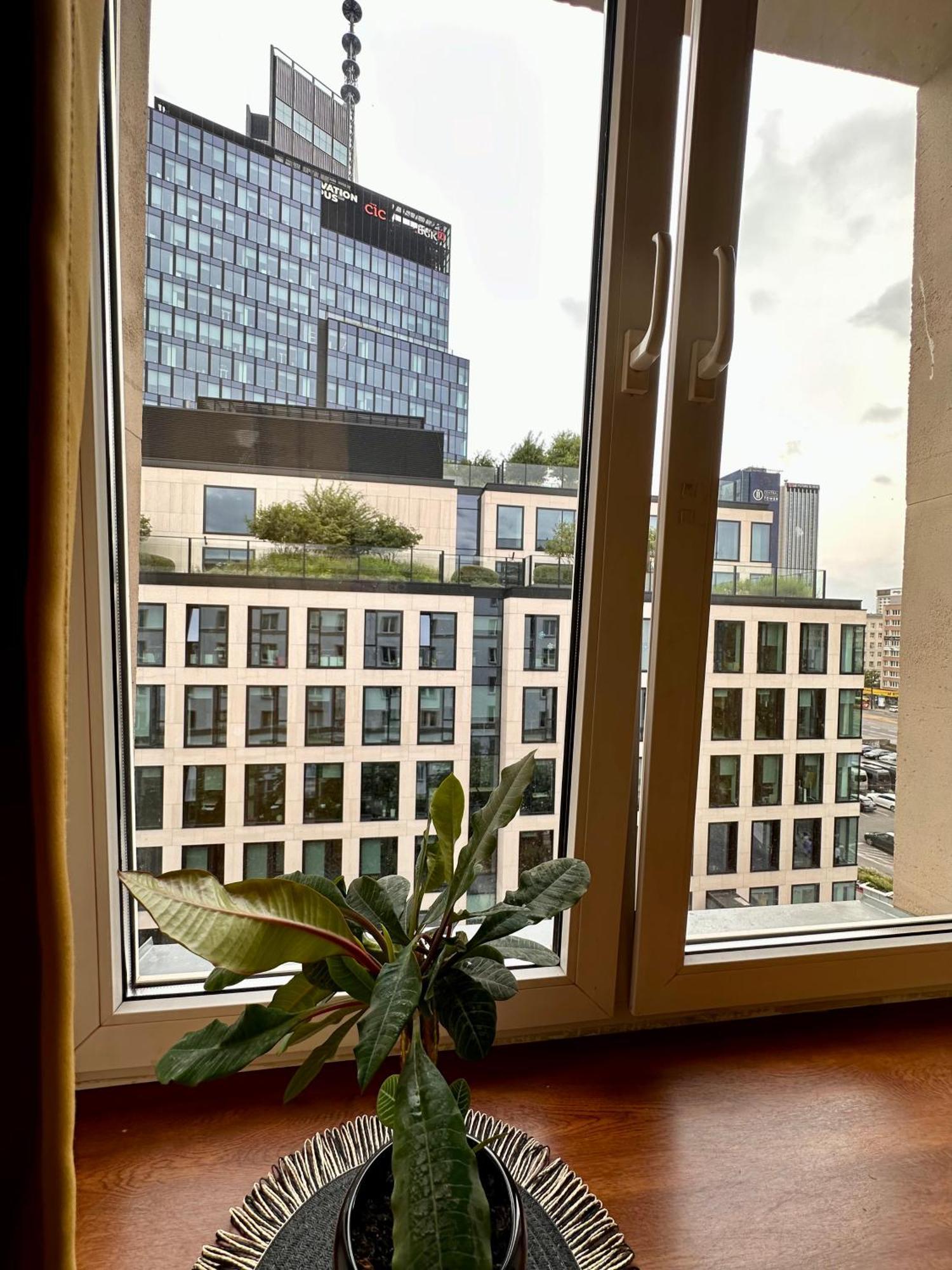 Apartment Africa Warsaw